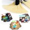 6 PCS Fan Brush Set – Hog Bristle, Anti-Shedding Brushes for Acrylic, Watercolor & Oil Painting with Case